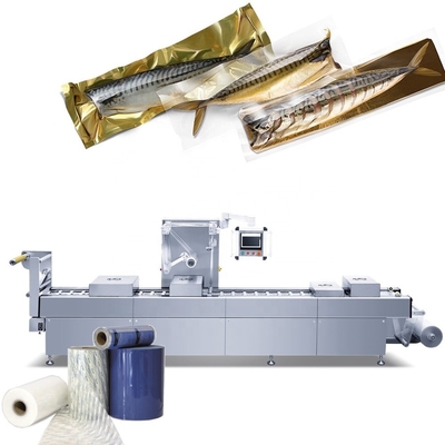 vacio thermoforming di Al di empaquetadora di maquina dell'impacchettatrice della carne del formaggio della salsiccia della macchina imballatrice di vuoto dei frutti di mare del pesce